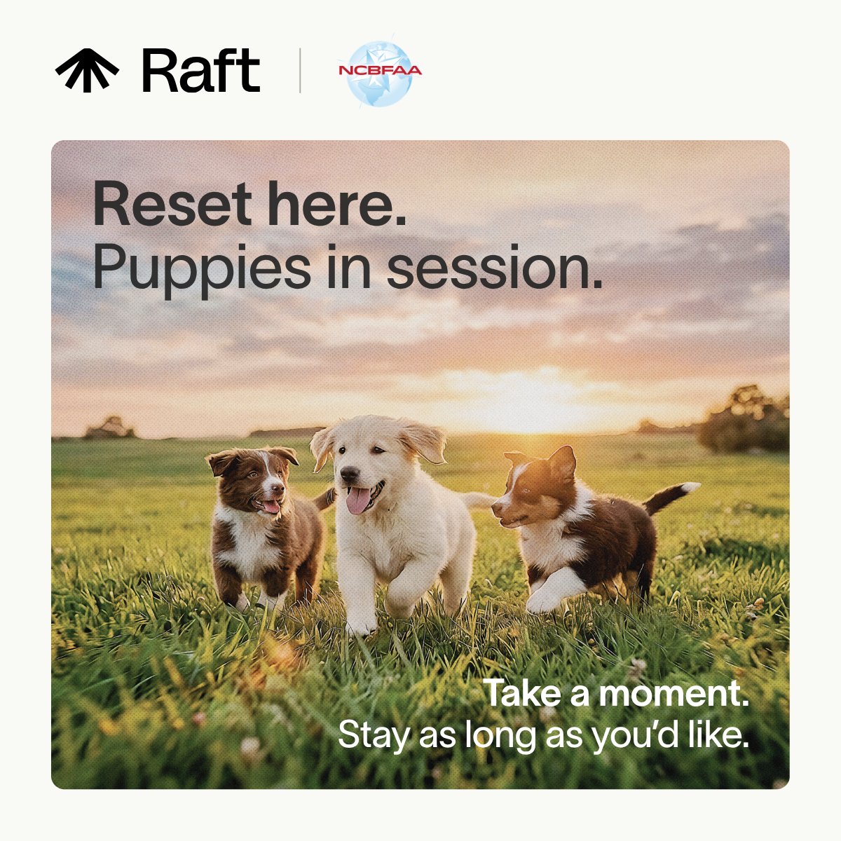 Raft - The AI workforce for supply chain tweet media