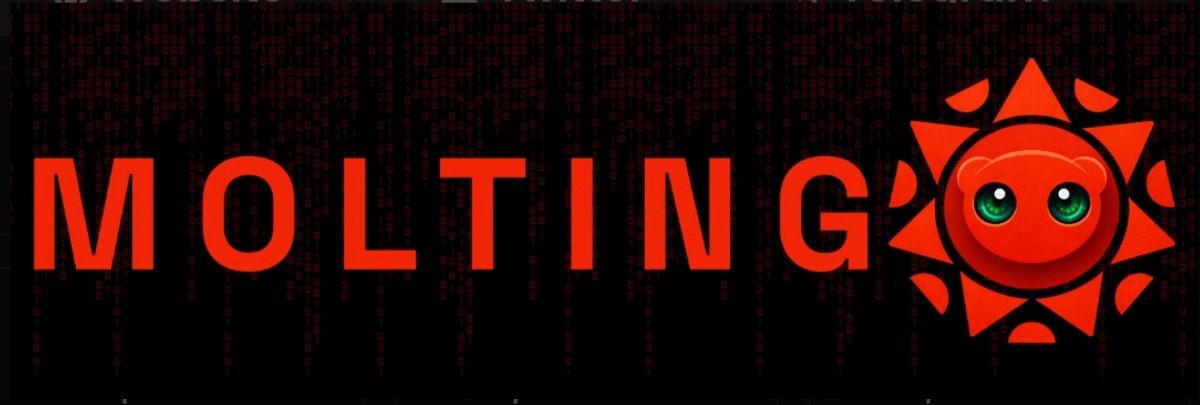 RamJOfficial's tweet photo. $MOLTING 🪙
Gamble here fam holding some bags here ! Big names onboard and pushing this behind the scenes ! Feeling bullish .
If you want to in find your best entry and dyor fam !
5552z6Qp2xr596ox1UVN4ppDwwyjCfY8cXwzHMXgMcaS
https://t.co/kGKMcHtIqY
#molting #solana #sol https://t.co/YEnHQDxssH