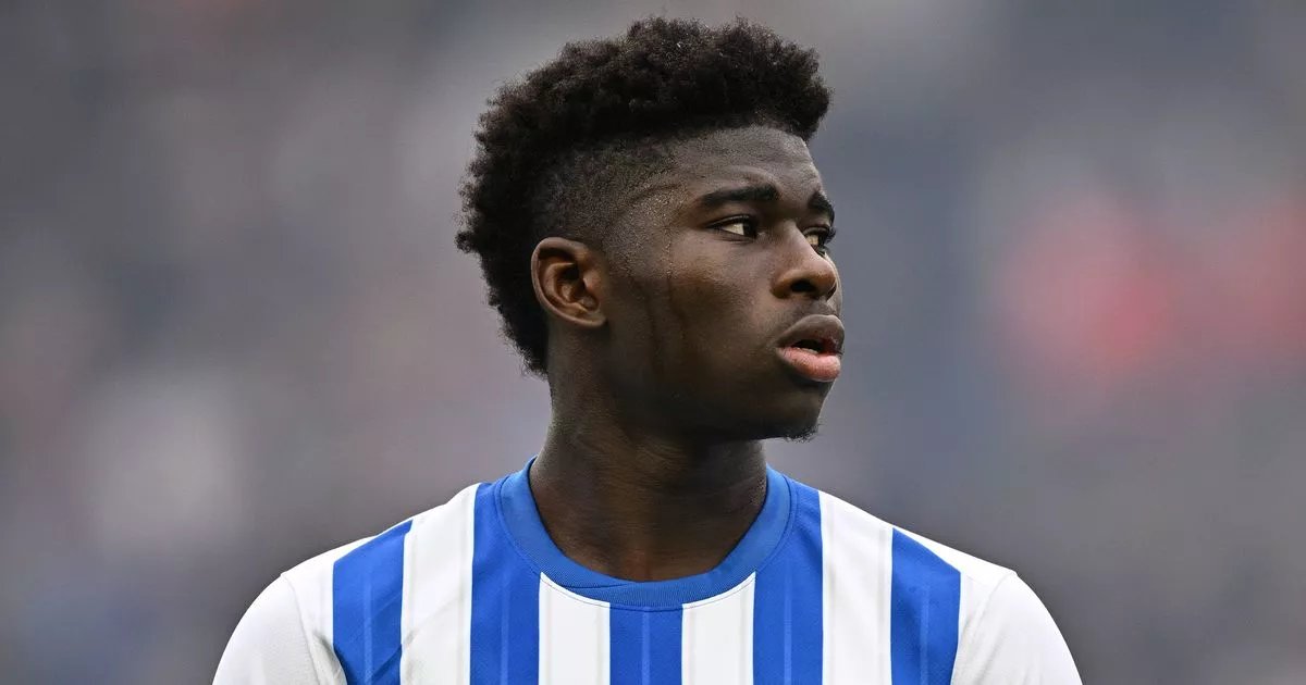 UtdSector tweet media