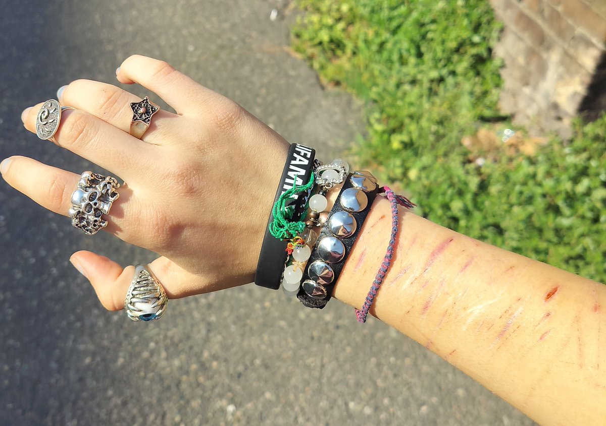 Gnarpy(=^ω^=⁠) shedtwt tweet media