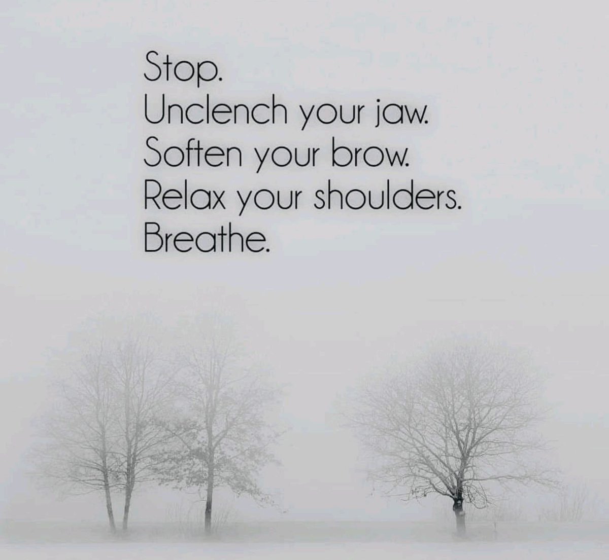 Mr. Star Spangled MAGA tweet media