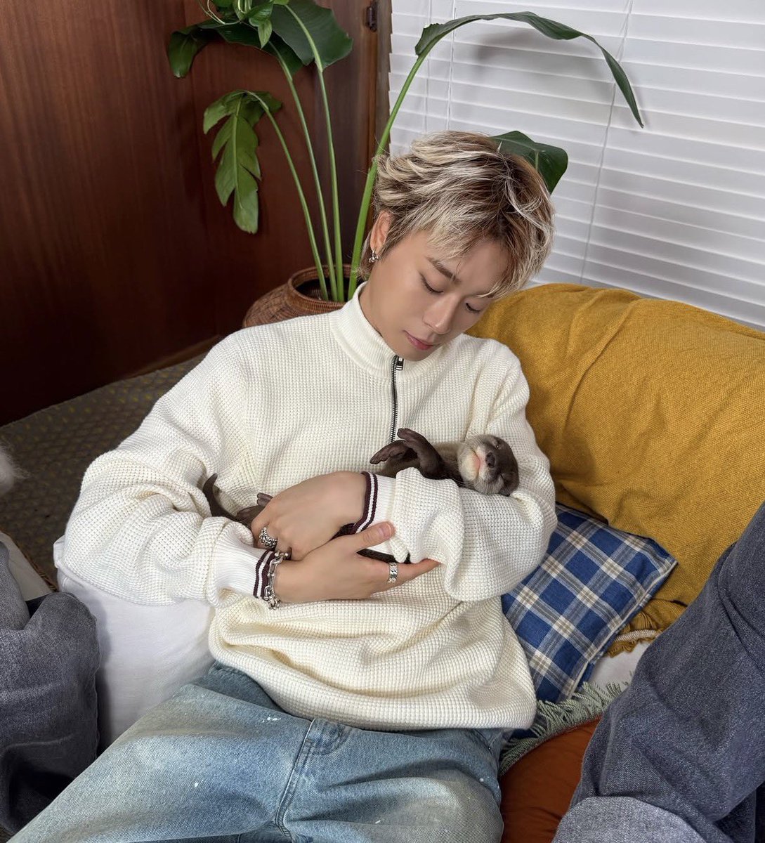 𝓕🍓 tweet media