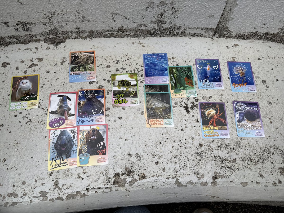 いかいかよしか🦑 tweet media