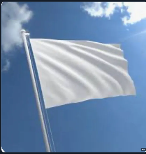 The Lesser of Two Weevils tweet media