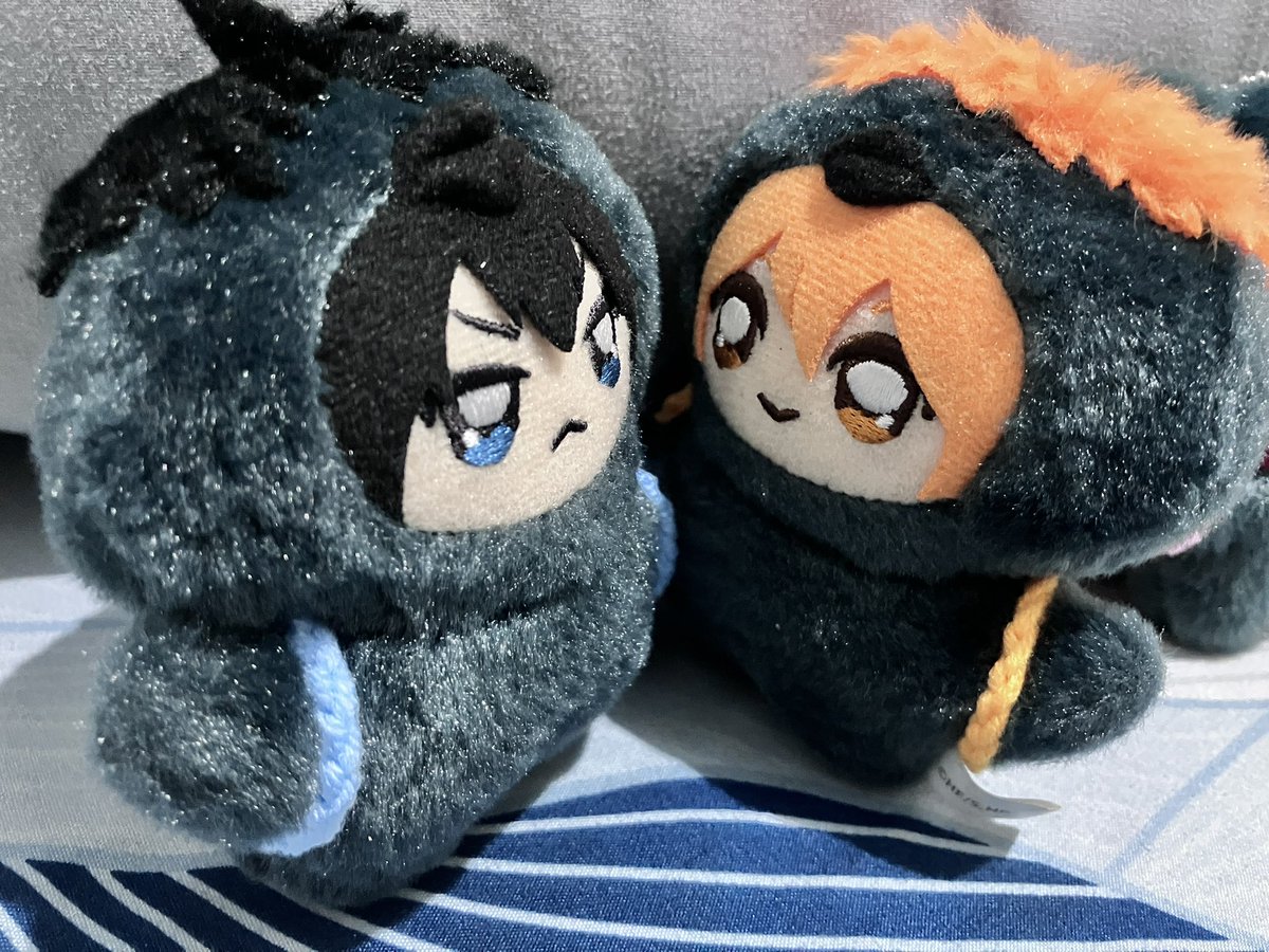 ʀᴇʀᴇ tweet media