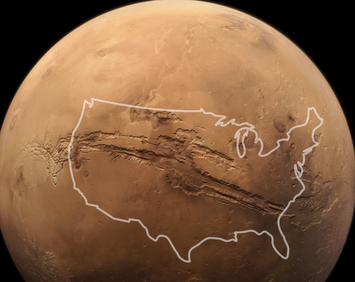 ☣️ Pleb Kruse = BTC foundationalist in exile 🟩🔆 tweet media