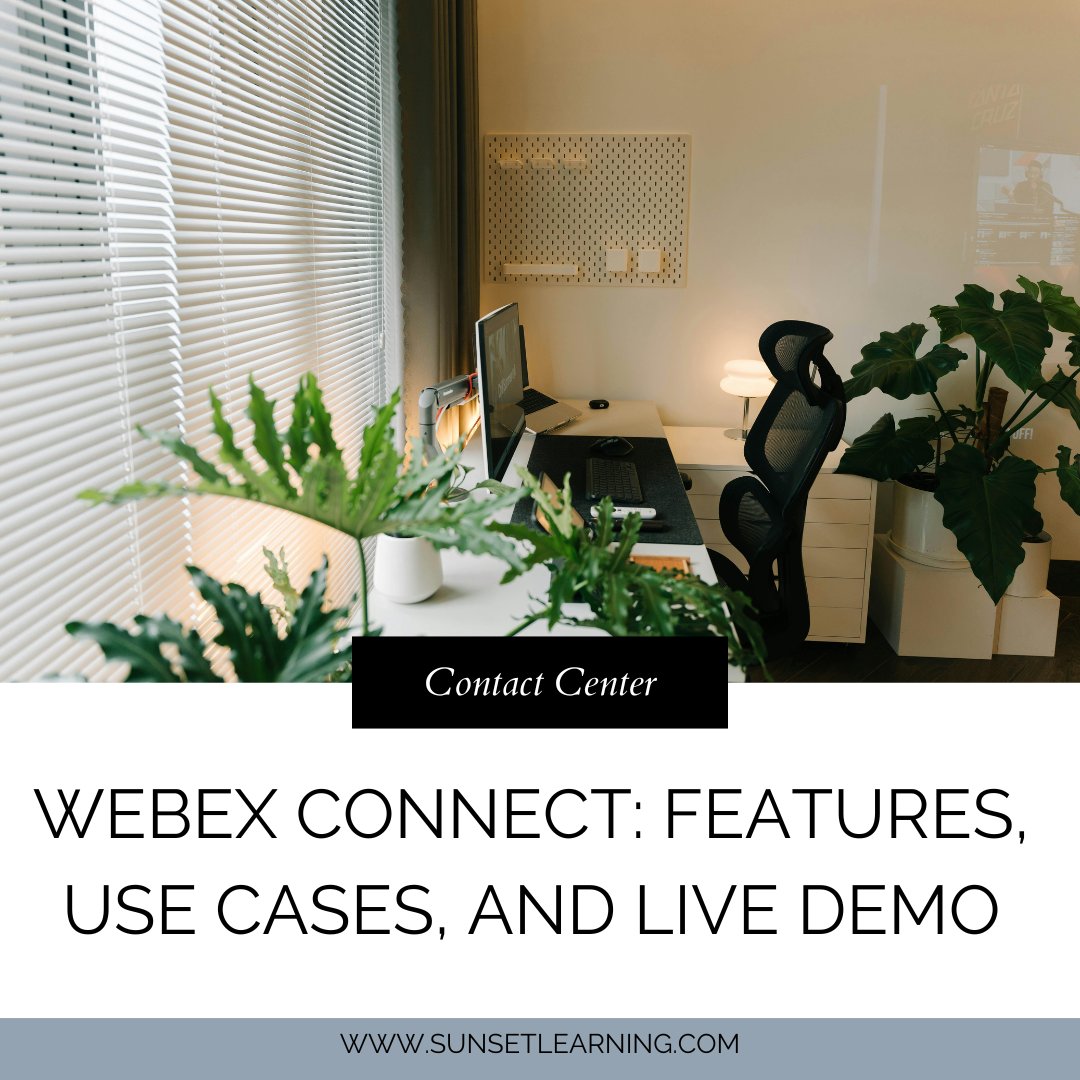 Sunset_Learning tweet media