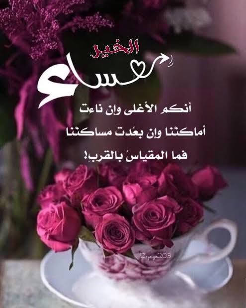 غالية العامري tweet media