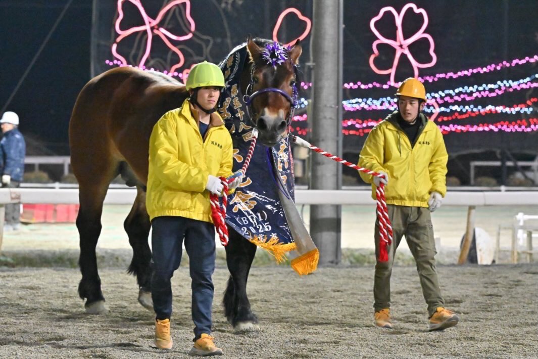 小久保友香 tweet media