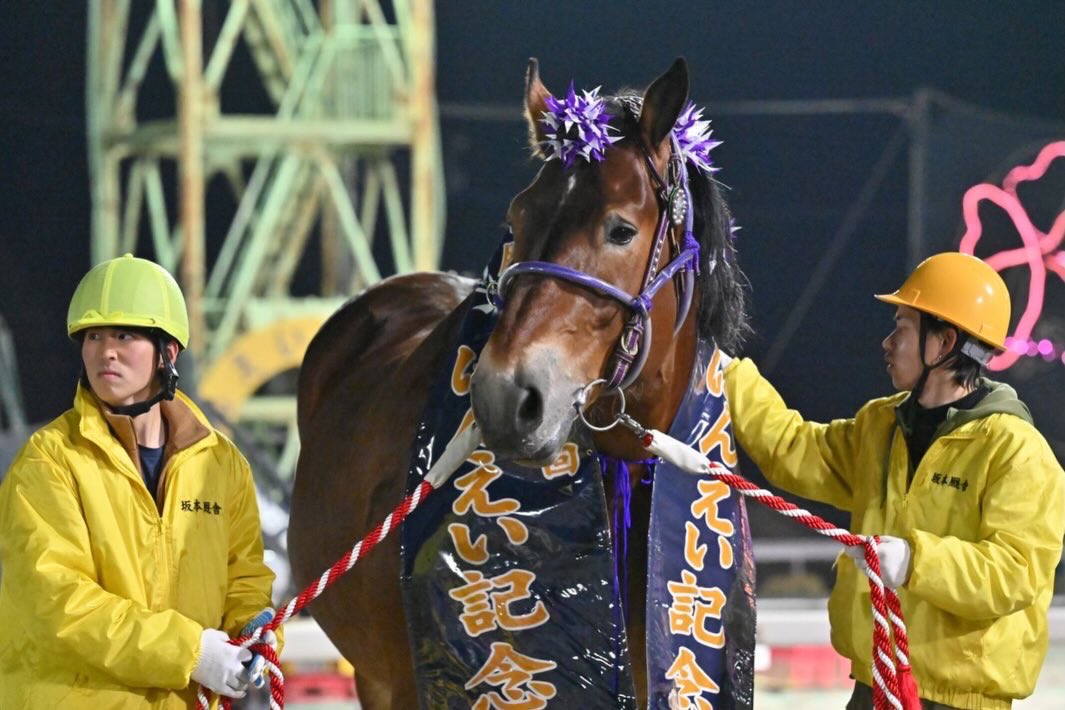 小久保友香 tweet media