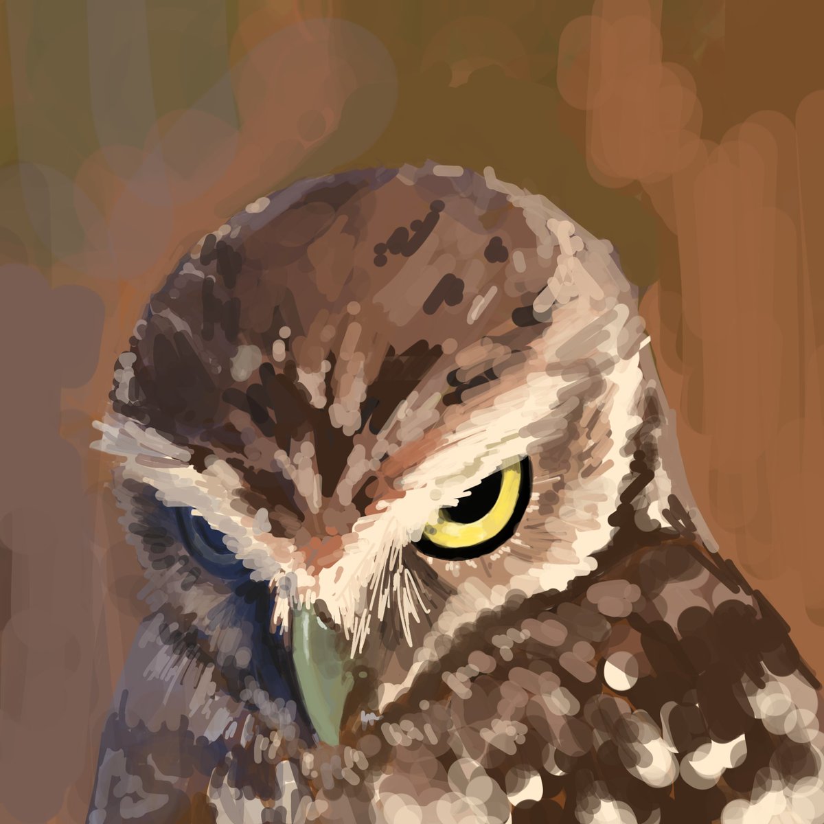 Nyxeros | Vgen comms tweet media