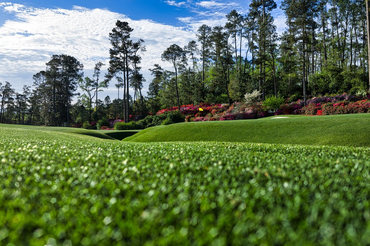 The Masters tweet media