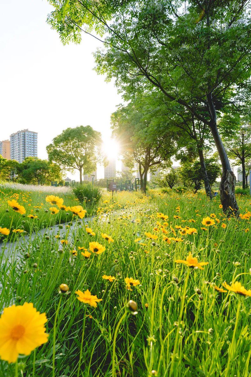 FrankInnocent tweet media