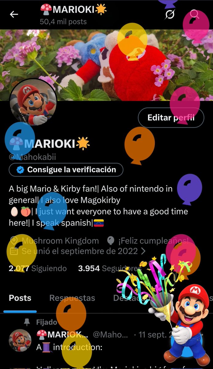 🍄MARIOKI🌟 tweet media