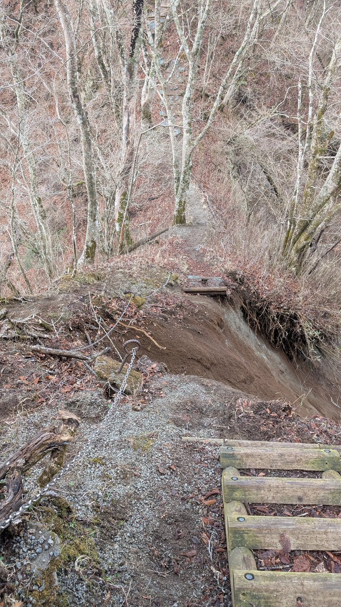 ヒロキ tweet media