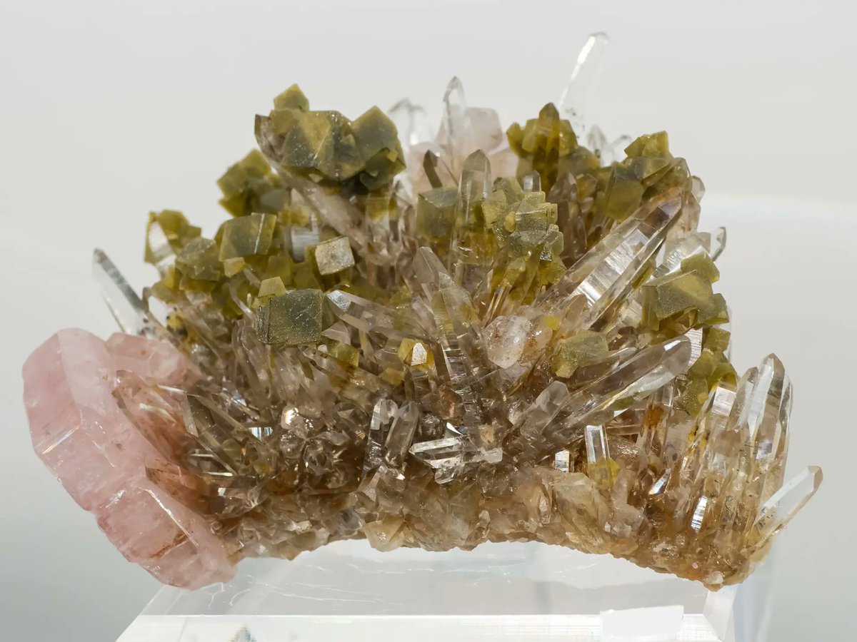 mexporg's tweet photo. Clear #Quartz with brown #Siderite and pink #Fluorapatite from Kami Mine, Cochabamba, Bolivia.
#mineral #crystal #mineralogy #mineralexpert https://t.co/77ifzH5ezC