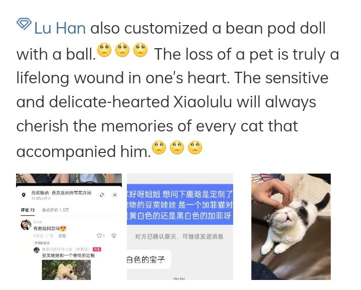 xiaollu777's tweet photo. It seems that LuHan is having an extremely hard time getting over the death of his cats 😭😭 to the point that he asked for a doll made resembling QiuQiu!!! He’s truly attached to them, and their loss really hurts him 😭😭 https://t.co/rnqseLJc0e