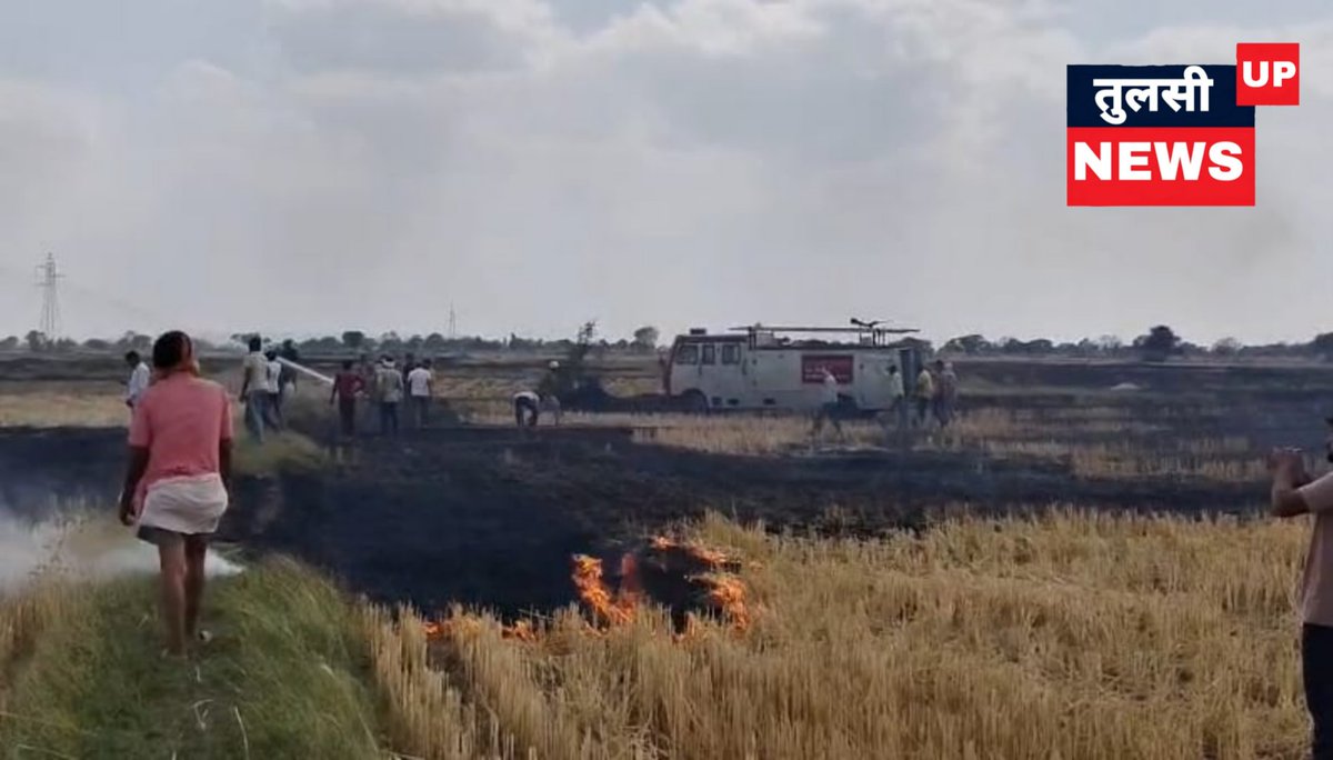चित्रकूट : अज्ञात कारणों से खड़ी फसल में लगी आग

➡लगभग 25 बीघे में गेहूं की फसल हुई खाक
➡किसानों, दमकल ने आग में पाया काबू
➡चित्रकूट के गनिवा चौकी क्षेत्र का मामला
 
#Chitrakoot #WheatFire #FarmersLoss <a href="/chitrakootpol/">Chitrakoot Police</a>