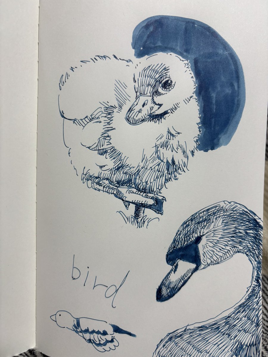 お茶♨️ tweet media