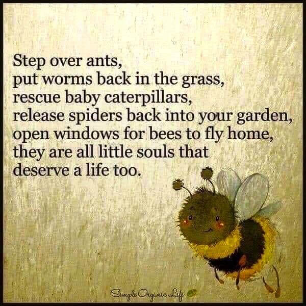 Thursday tweet media