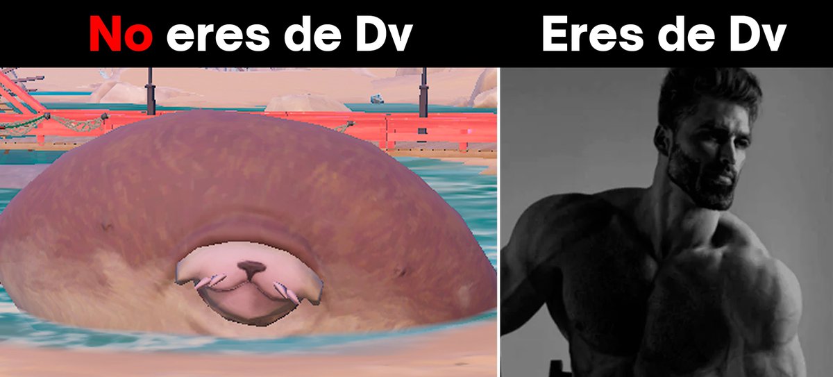 SrDavo22 tweet media