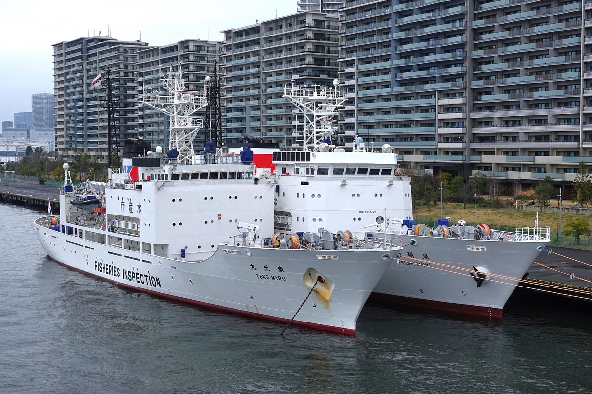 うみぎり tweet media