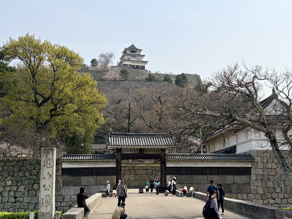 丸亀城の本体は石垣でした🏯
さすが讃岐、適当に入ったうどん屋ですら美味かった😁