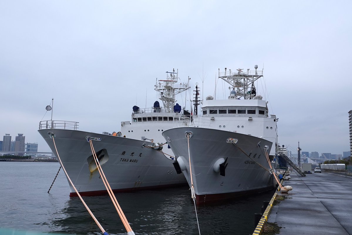 うみぎり tweet media