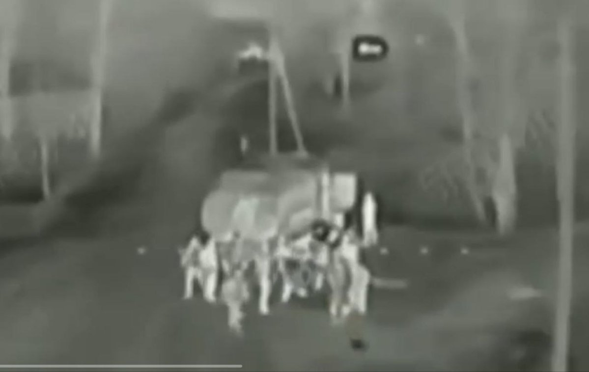 Andy Schneider tweet media