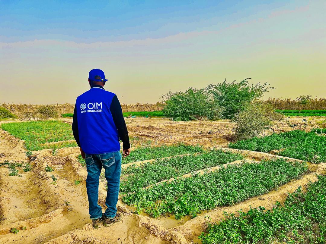 OIM Niger tweet media