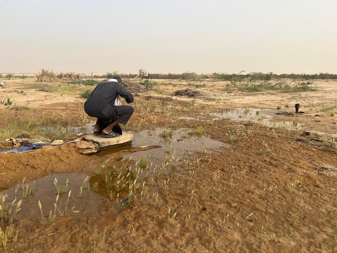 OIM Niger tweet media