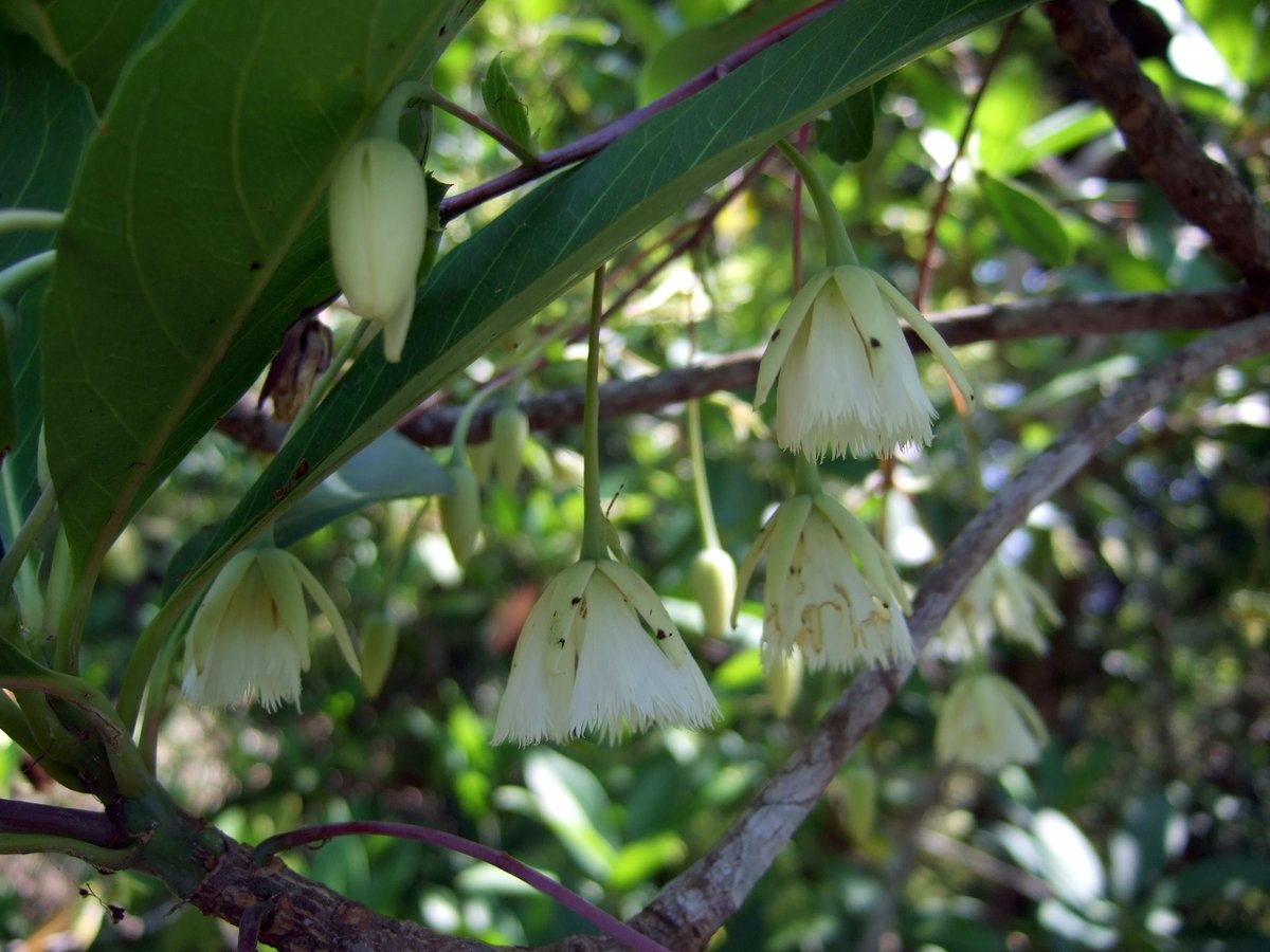 Tomoki SANDO tweet media