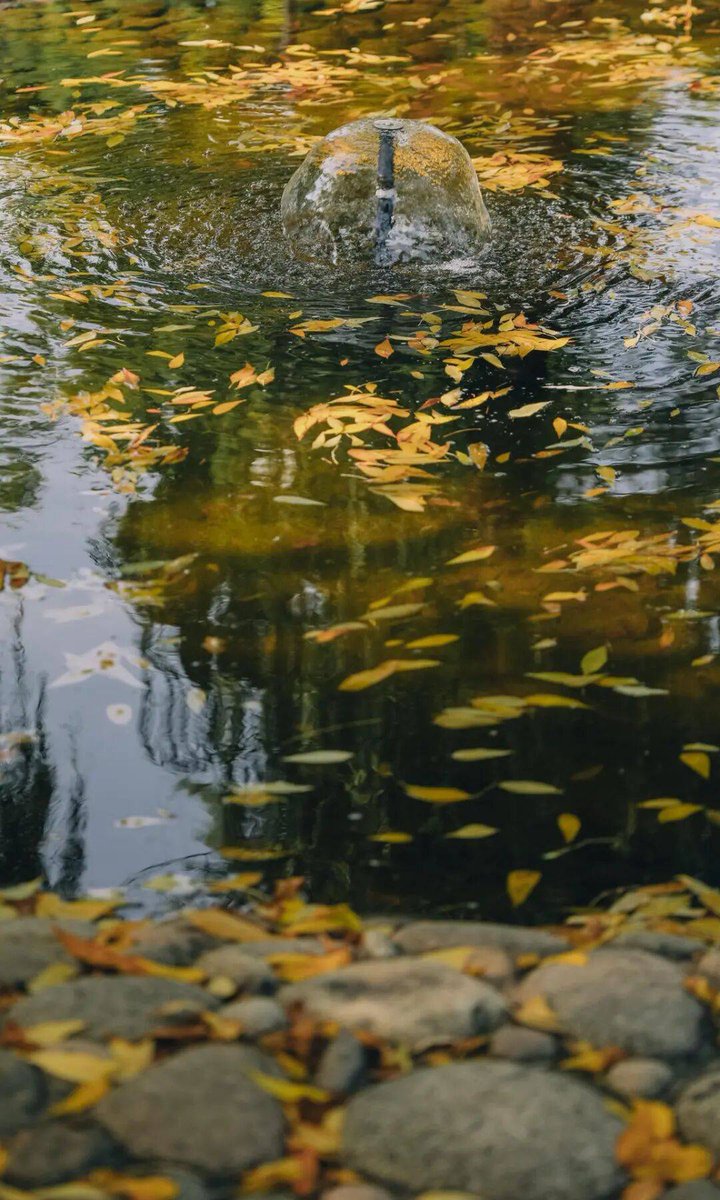 karnchana tweet media