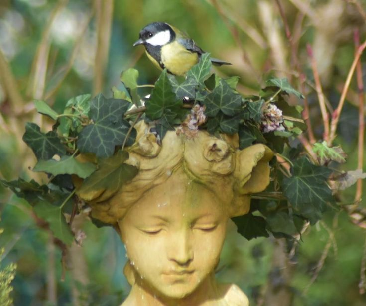 𝖈𝖍𝖆𝖇𝖆𝖟𝖎𝖙𝖊 tweet media