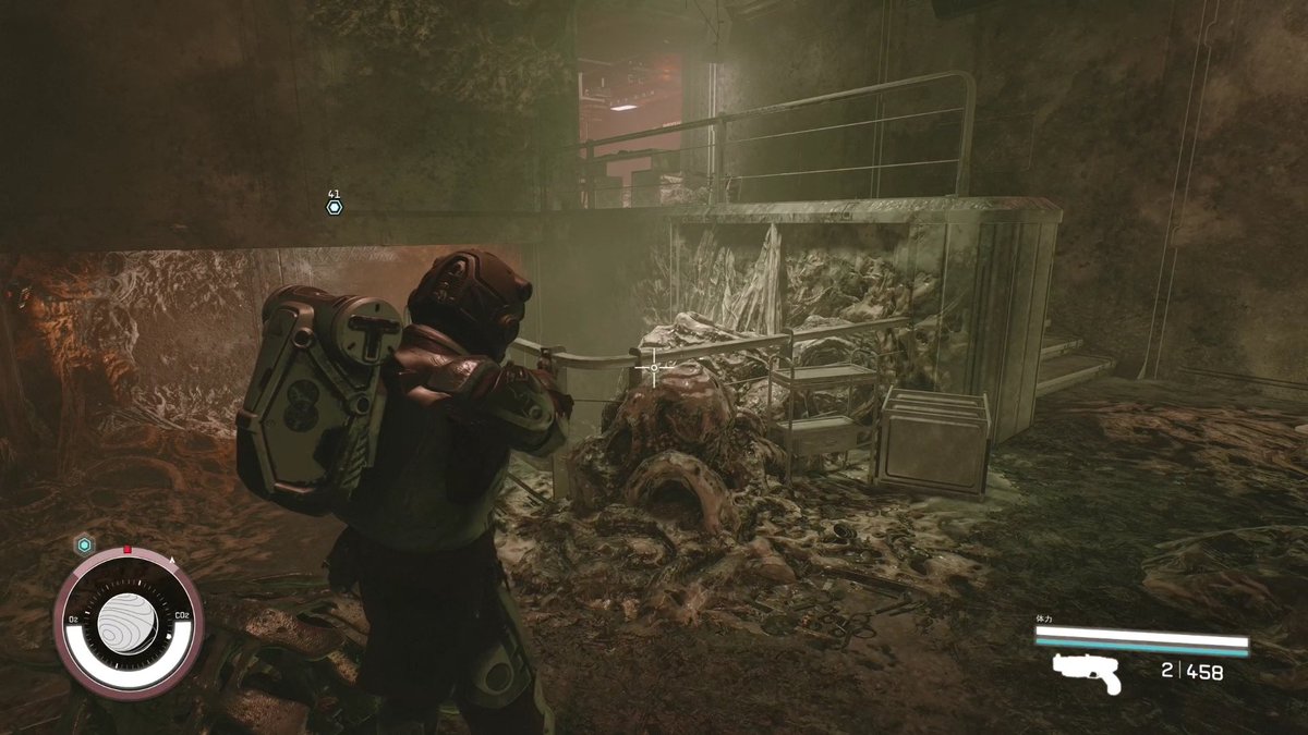 ねこずき🐱 tweet media