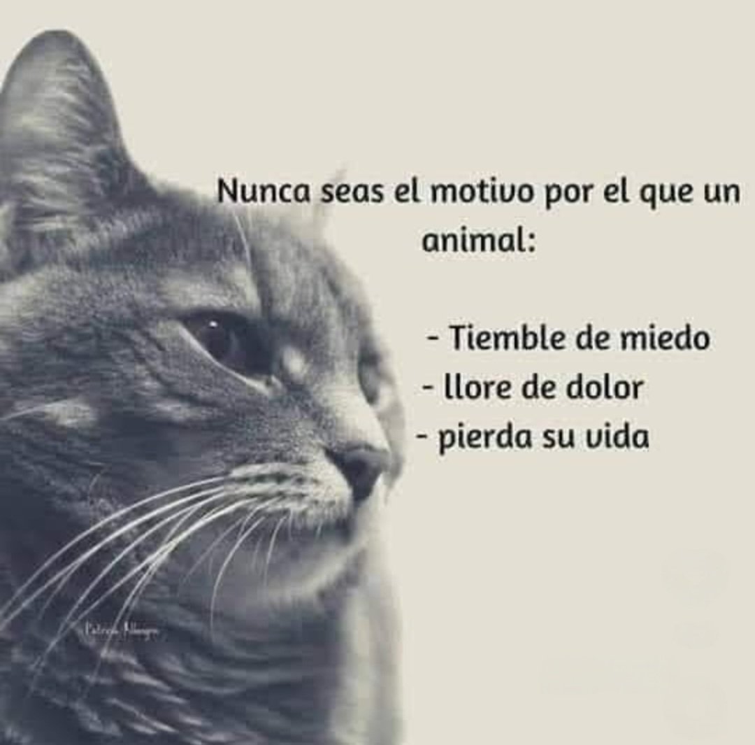 Beryl 🧶 (@berilyn_02) on Twitter photo 