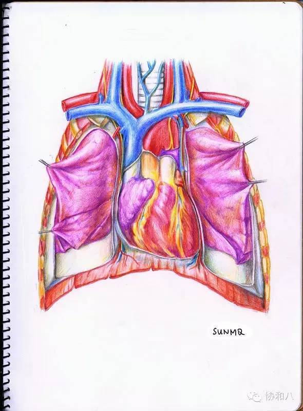 tom ashwin tweet media