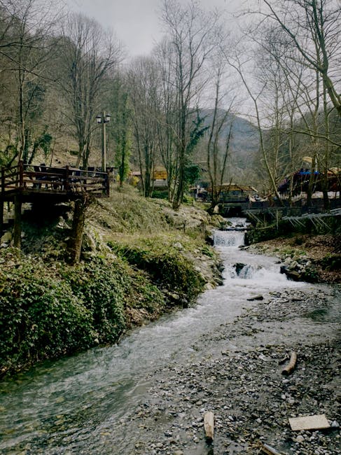 Robin Ford tweet media