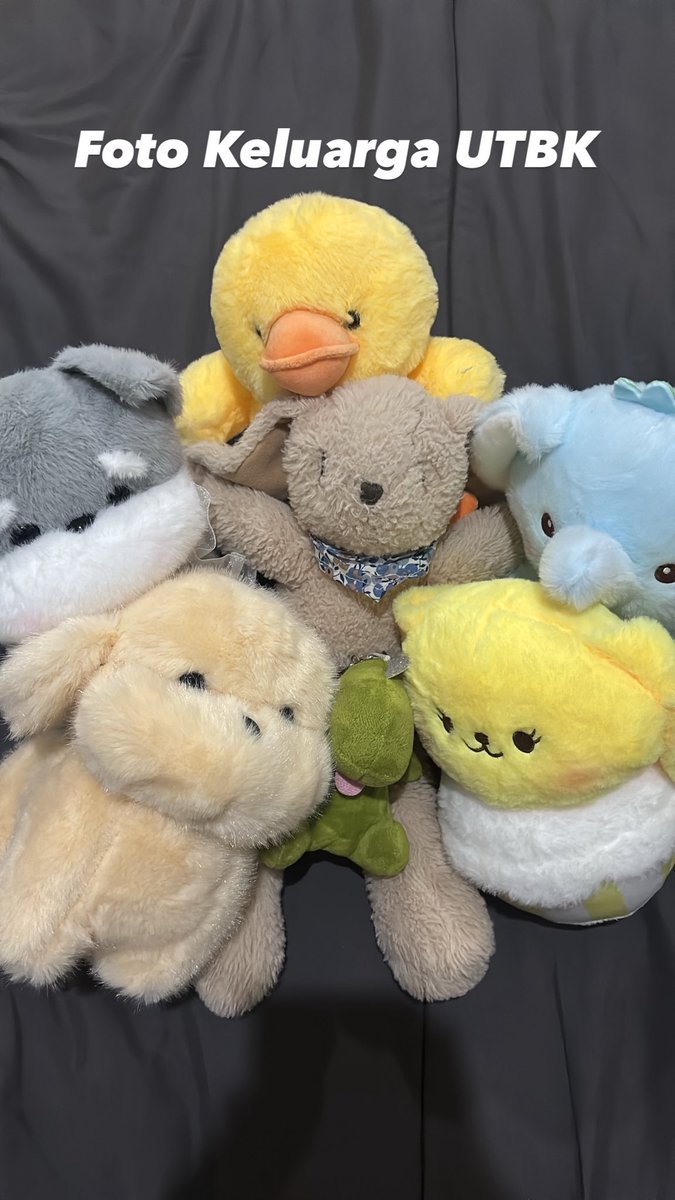 dimsums🍏²⁶ tweet media