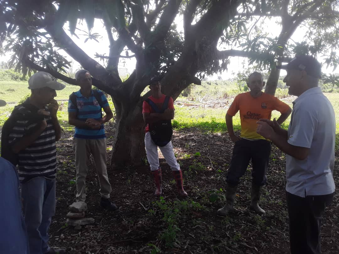 🌱Visita de extensión agraria en #SantiagodeCuba.
El MsC. Juan Miguel Pérez y especialistas del INIVIT visitaron al #productor Leandro Machado en Contramaestre. Se diagnosticaron necesidades para implementar prácticas agroecológicas y mejorar la producción sostenible. 🌍🌿