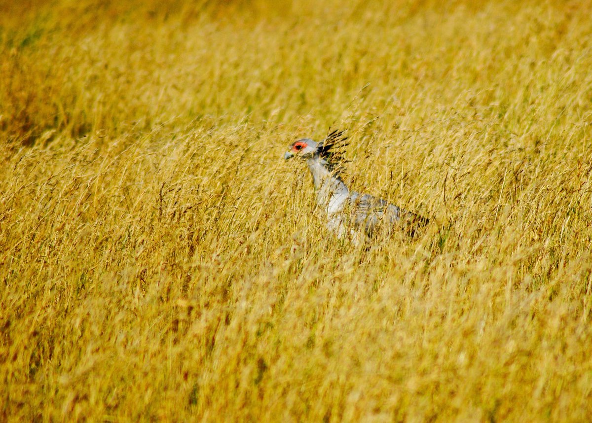 michael04w michael04 tweet media