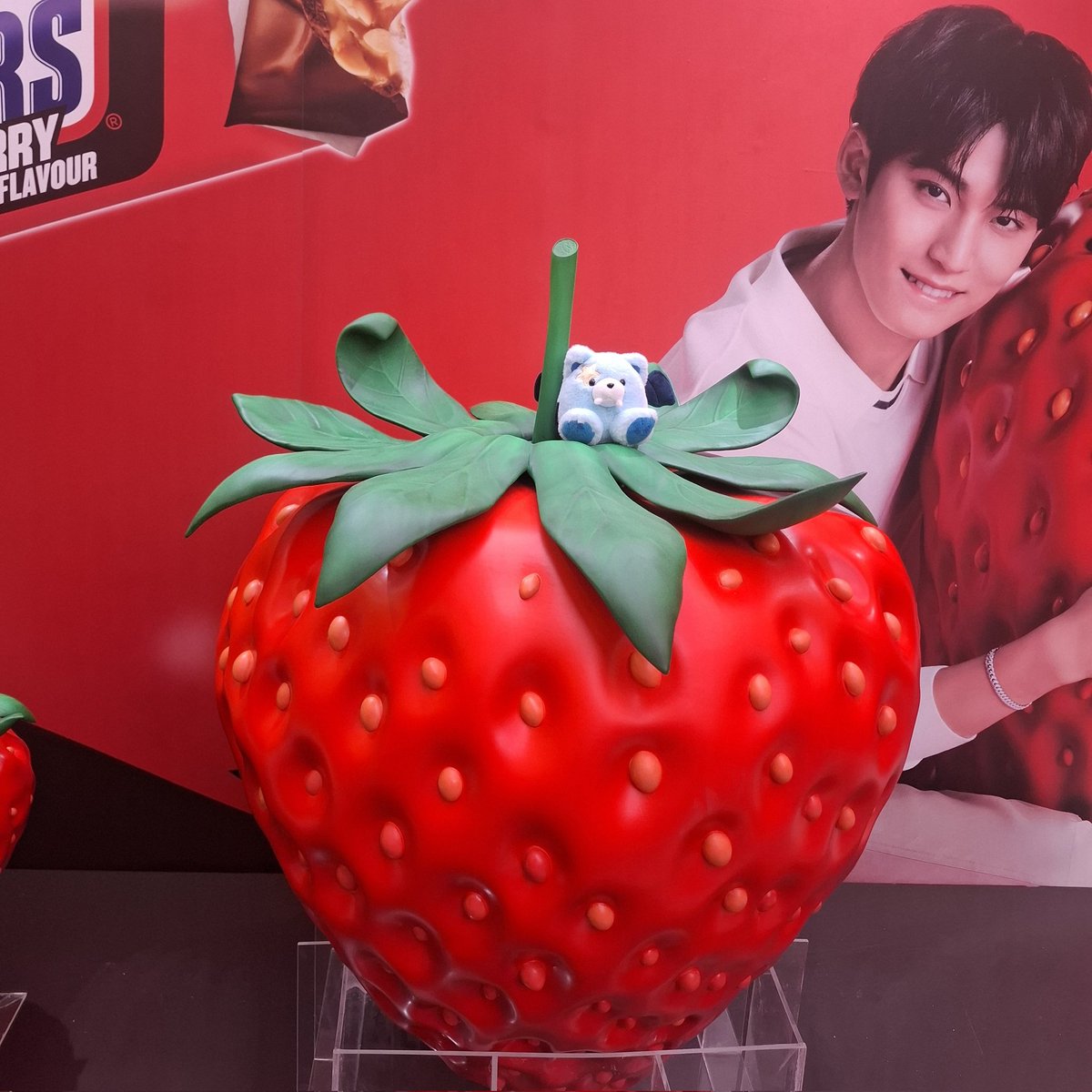 ryry_panot's tweet photo. wow so big ng strawberry ni mingyu sunbaenim 😱🍓 https://t.co/Szq3WAmn8X