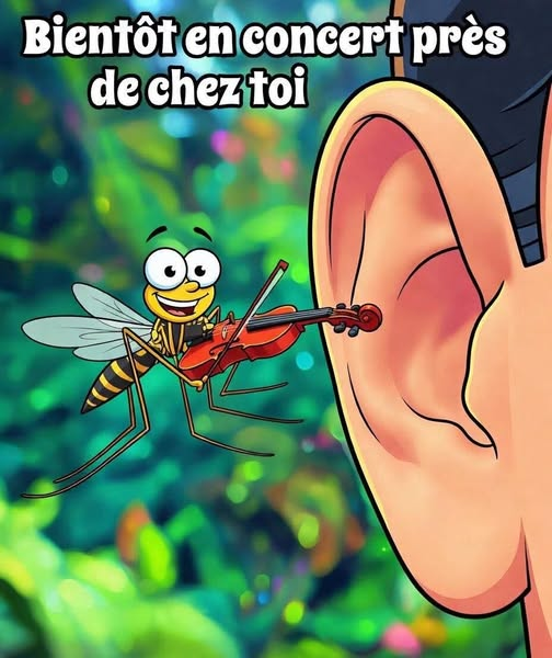 F4DBS Philippe tweet media