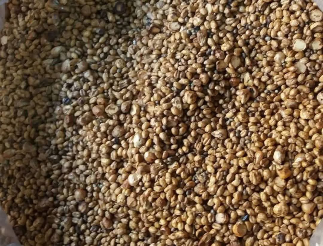 DENİZ_TOPRAK2 tweet media