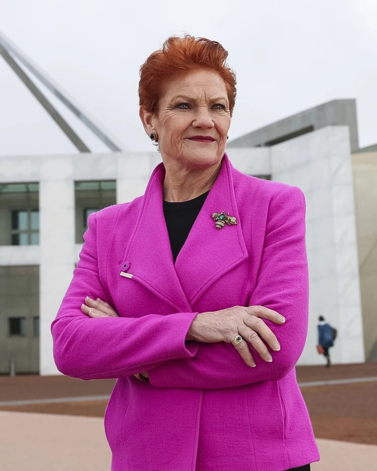 Will Kingston tweet media