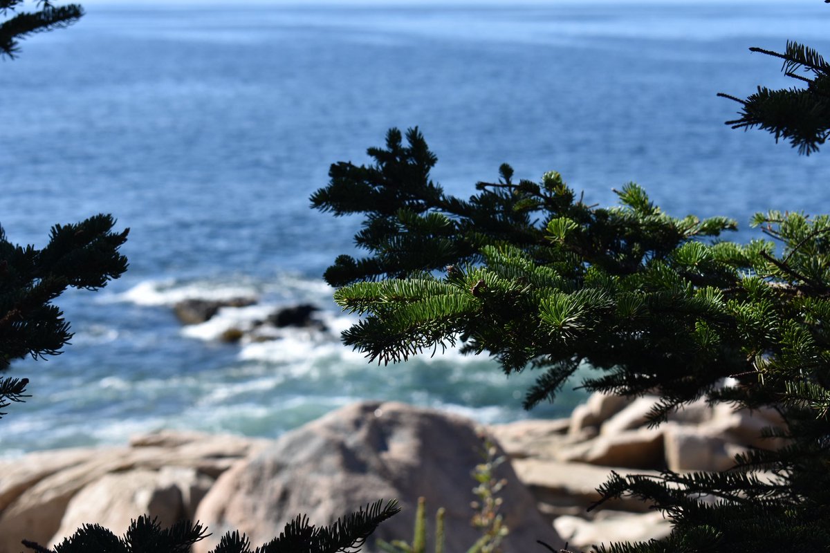 To be here again - hiking small mountains and over looking the ocean. To take paths that lead to the ocean and the smell of fir trees. Anyways raw unedited photos.