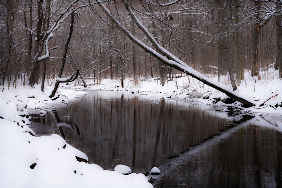 Logan Knight tweet media