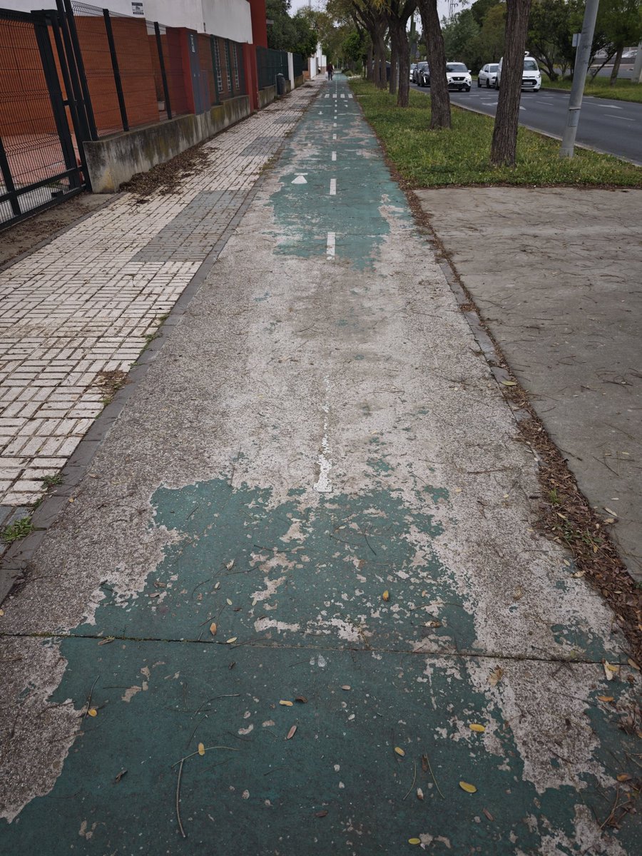 Carril bici efecto rally en <a href="/DtoEsteAlcTorre/">Distrito Este-Alcosa-Torreblanca (Sevilla)</a> 

<a href="/jlsanzalcalde/">José Luis Sanz</a> la bici hace tiempo que no la usa por aquí