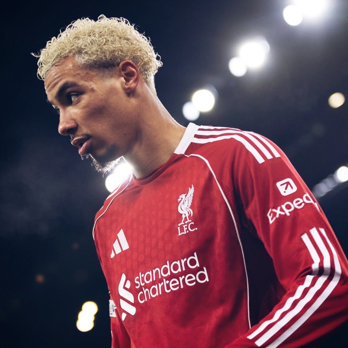 Sar Rayz tweet media