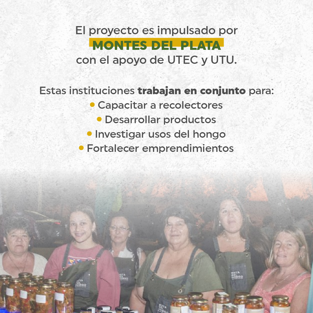 spforestales's tweet photo. La Ruta del Hongo es un proyecto impulsado por @mdpoficial_2009  junto a @UTECuy  y UTU, que promueve la capacitación y el crecimiento de emprendimientos en distintas comunidades.

🌱 Una red que crece desde el territorio y genera oportunidades reales. https://t.co/kGKg3mkCgF